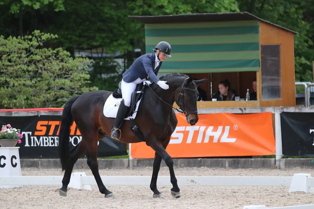 dressurreiten-reiter-pferd-stihl-turnier-reitplatz