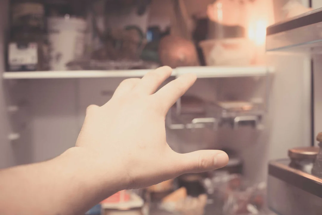griff in den kuehlschrank
